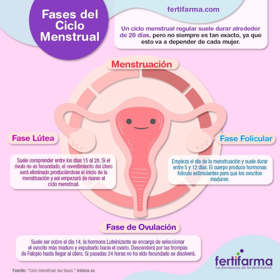 Todo lo que No sabías del Ciclo Menstrual y Días Fértiles
