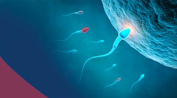 La eyaculacion diaria podria afectar la calidad del esperma