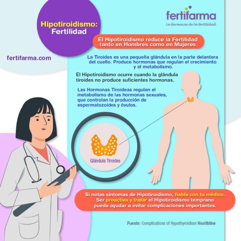 hipotiroidismo y fertilidad. El hipotiroidismo reduce la fertilidad tanto en hombres como en mujeres