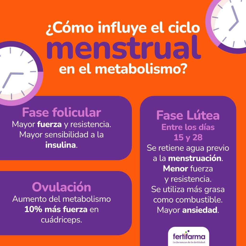 cómo influye el ciclo menstrual en el metabolismo