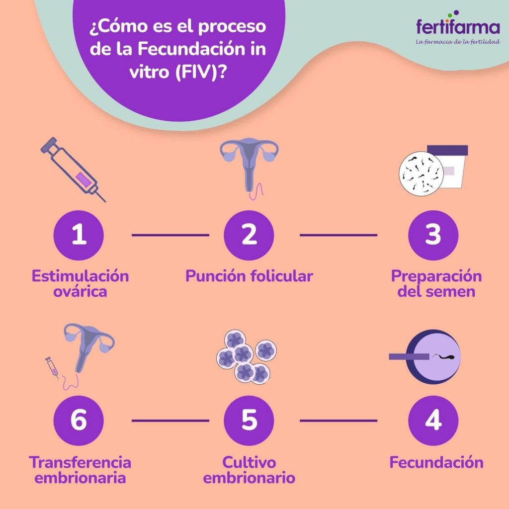 proceso de la fecundación in vitro