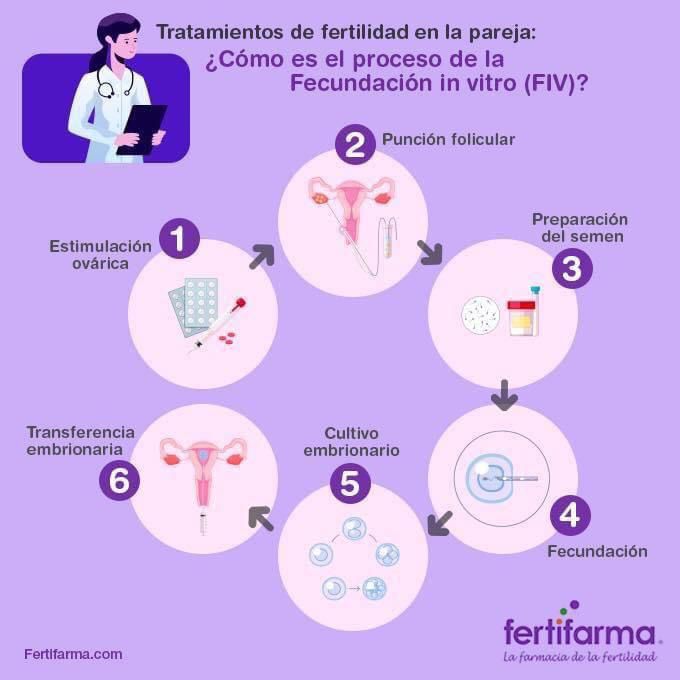 tratamientos de fertilidad en la pareja. ¿Cómo es el proceso de la fecundación in vitro (FIV)?