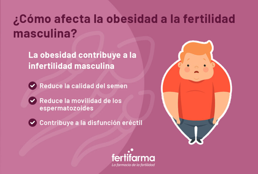 Cómo afecta la obesidad a la fertilidad masculina. La obesidad y la fertilidad en hombres y mujeres