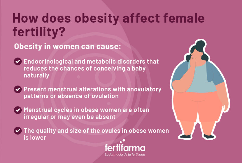 How does obesity affect female fertility?