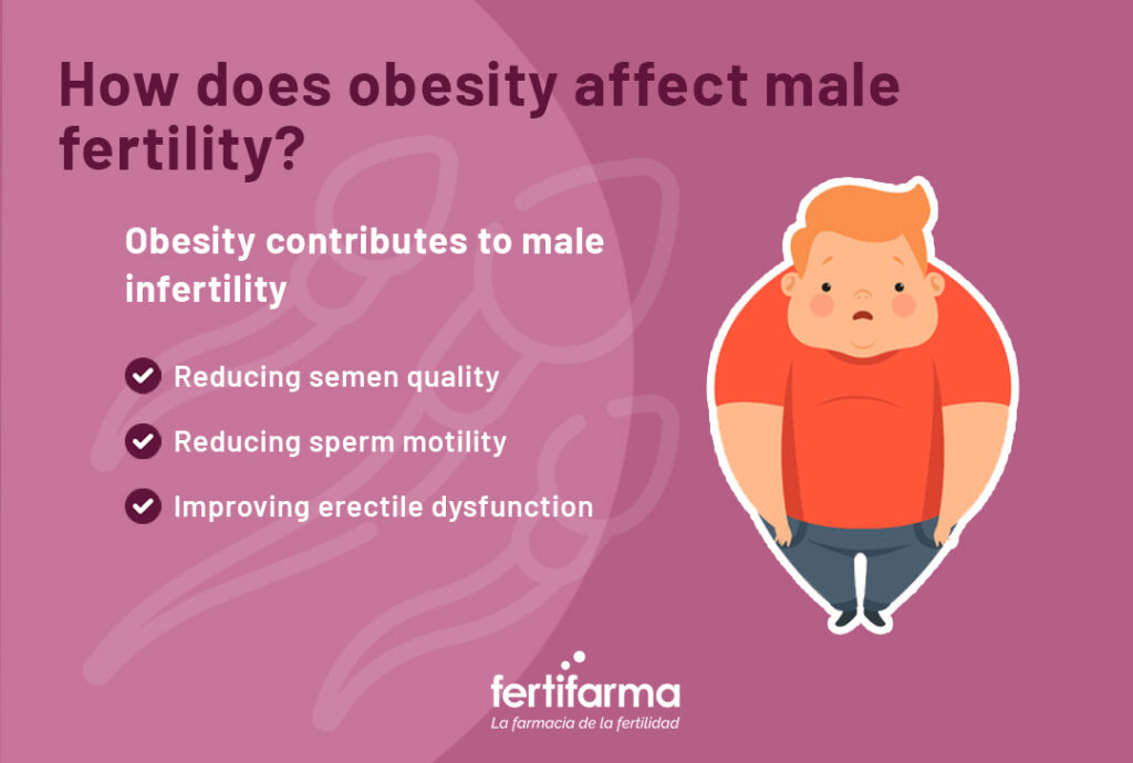 How does obesity affect male fertility?