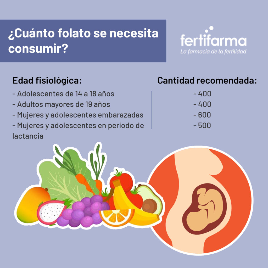 Cuánto folato se necesita consumir. La importancia del consumo de folato y ácido fólico