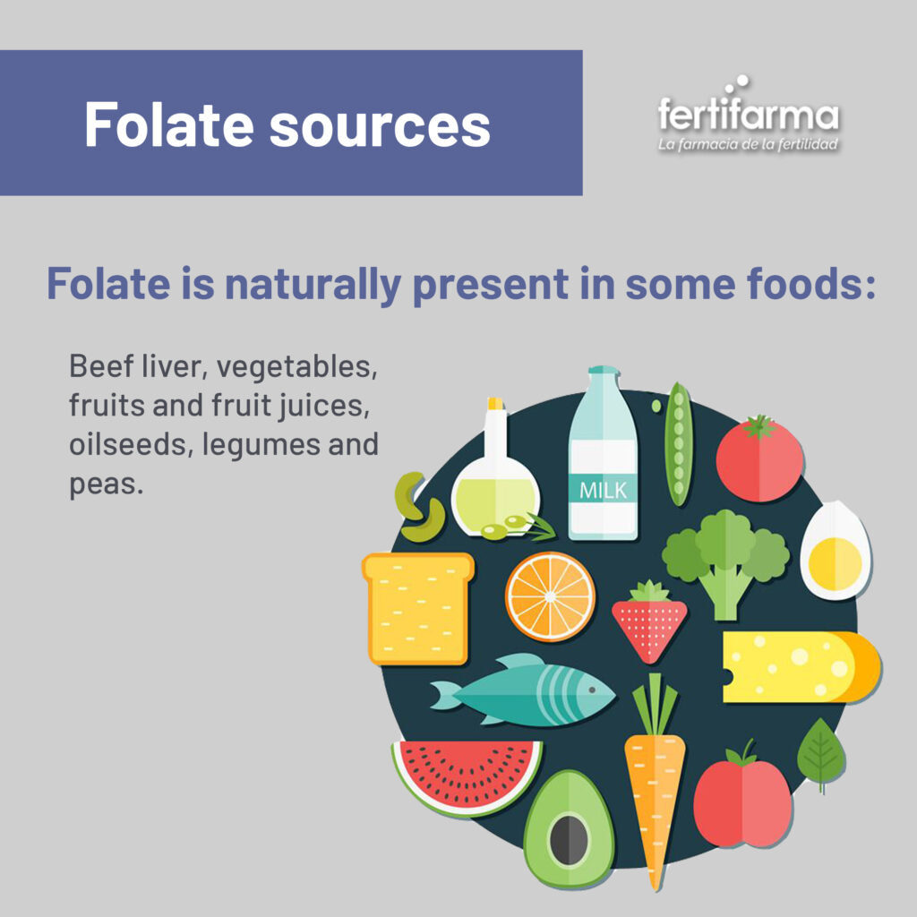 Folate sources. The importance of consuming folate and folic acid in reproductive age and pregnant woman