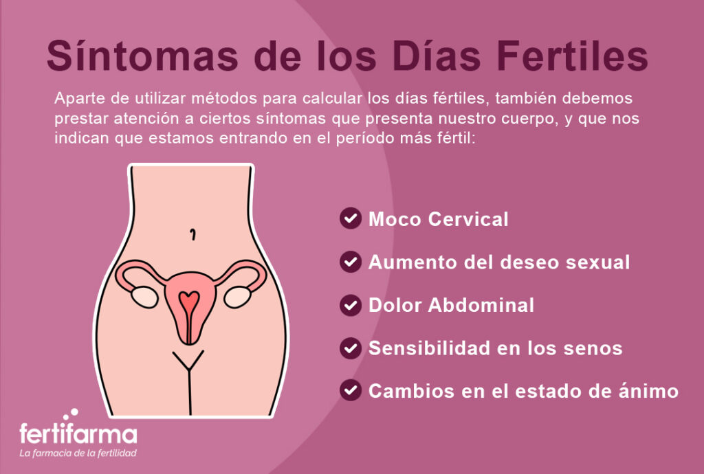 Síntomas de los días fértiles. Días fértiles e infértiles de una mujer