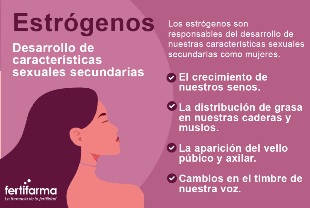 Estrógenos en la Mujer