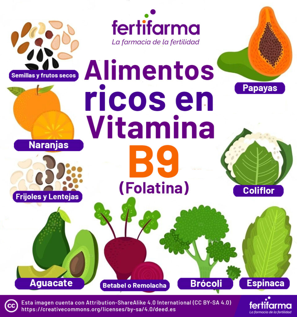 Alimentos ricos en Vitamina B9 