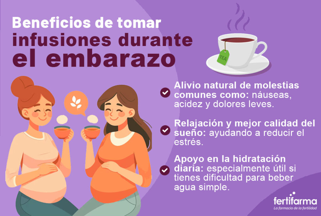 Beneficios de tomar infusiones en el embarazo. Infusiones y embarazo