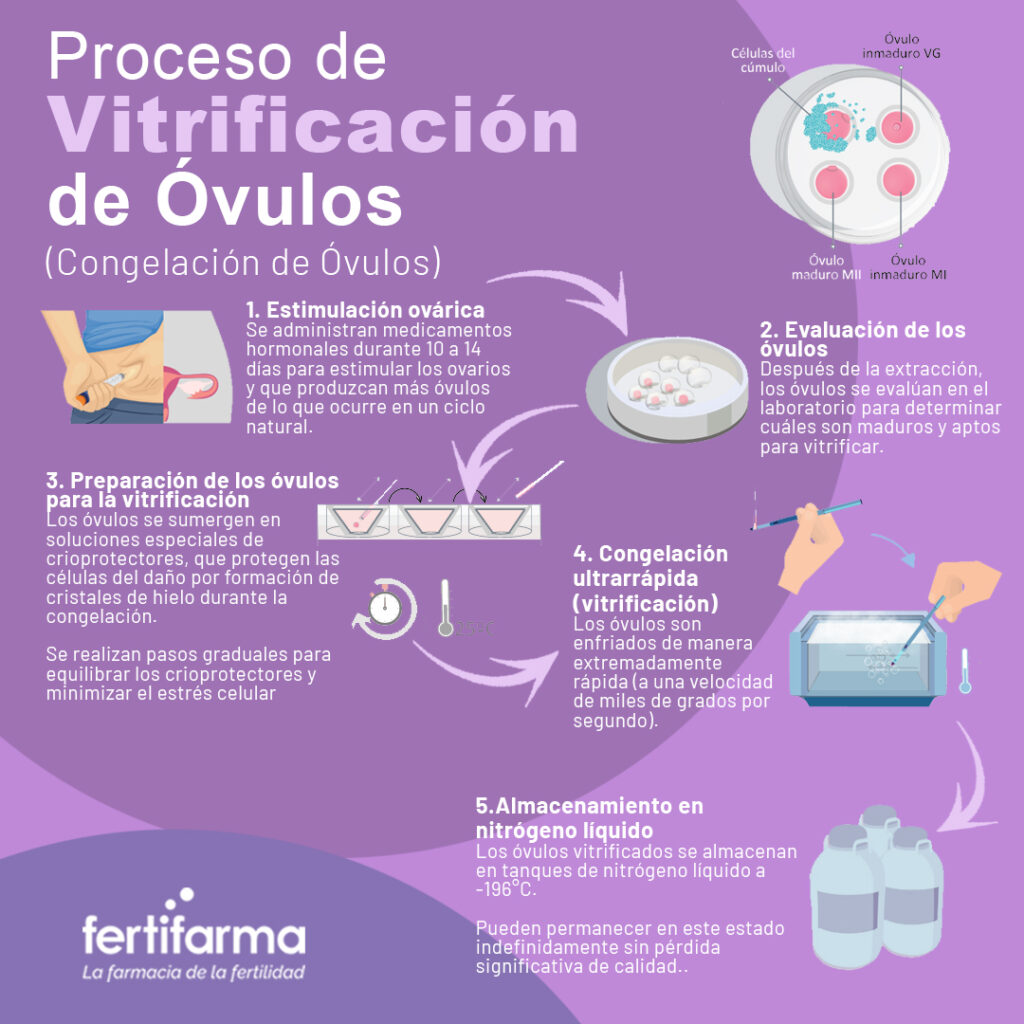 Proceso de vitrificación de óvulos